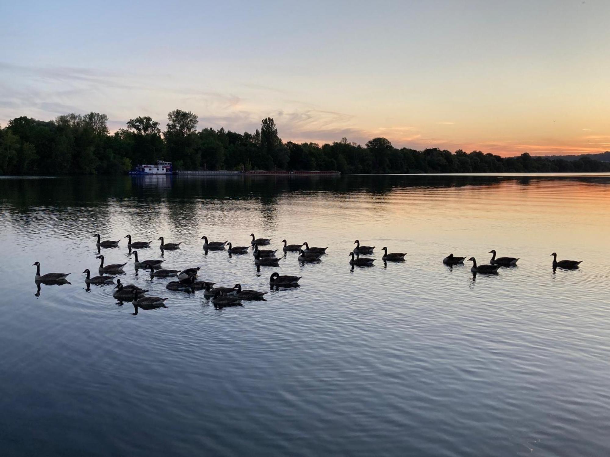 SeineHouse - Maison flottante  Vaux-Sur-Seine Esterno foto